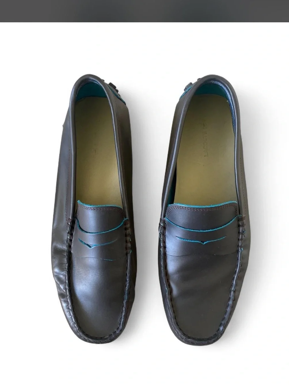 Lacoste Men's Dark Brown Leather Penny Loafers with Teal Stitching